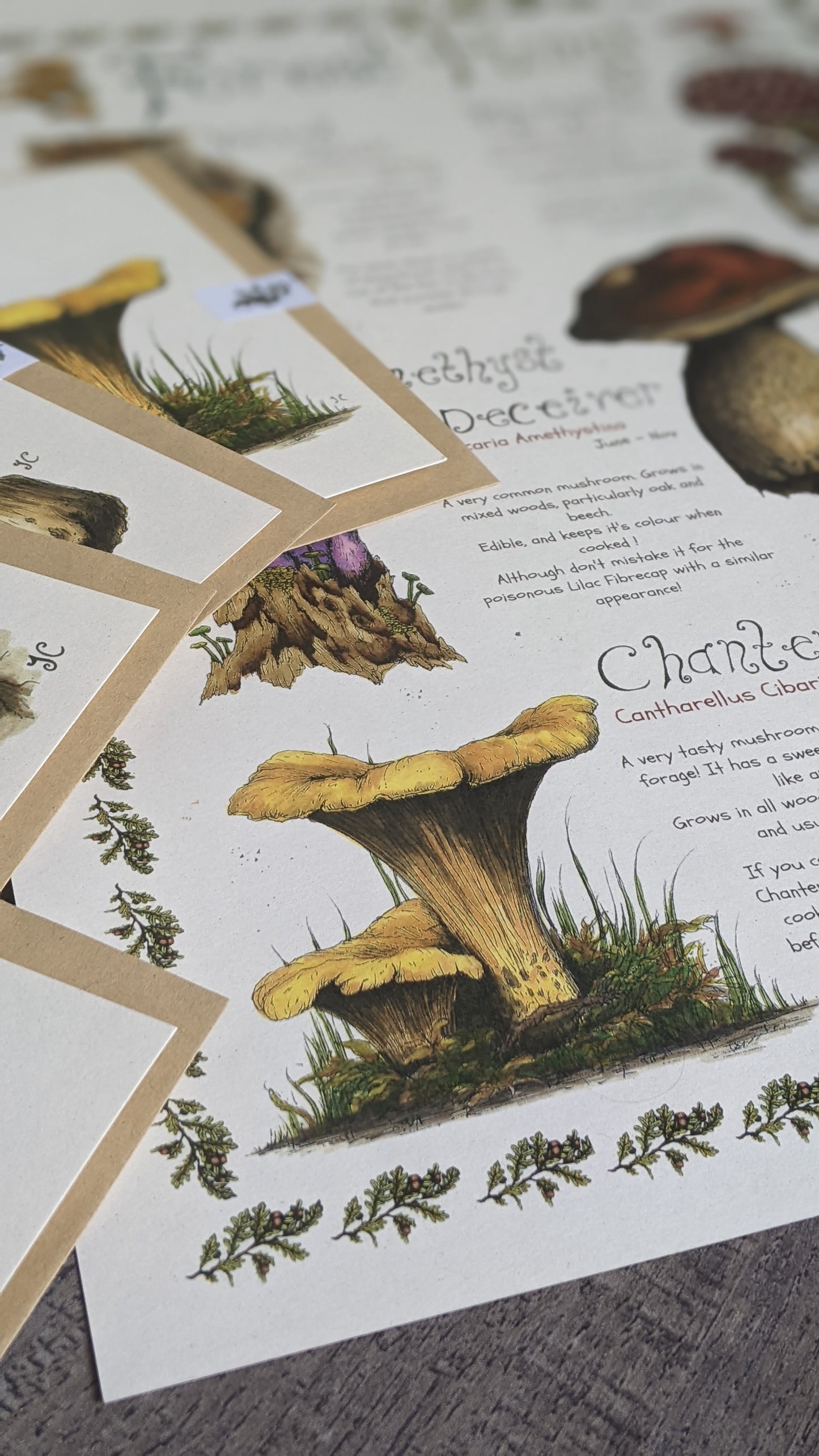 Forest Fungi Poster