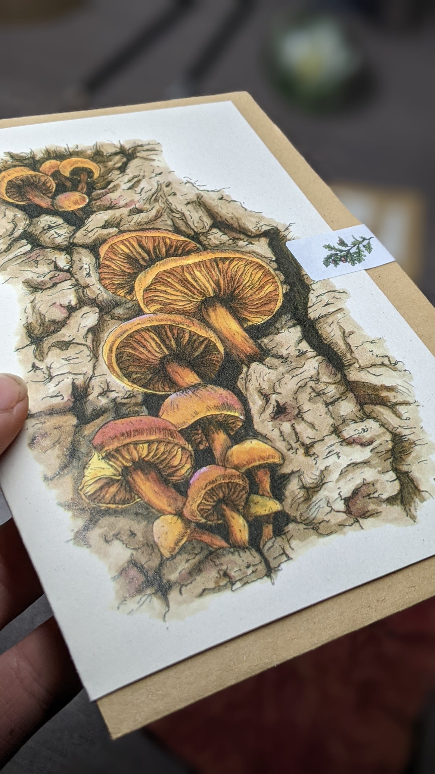 Velvet Shanks Greeting Card