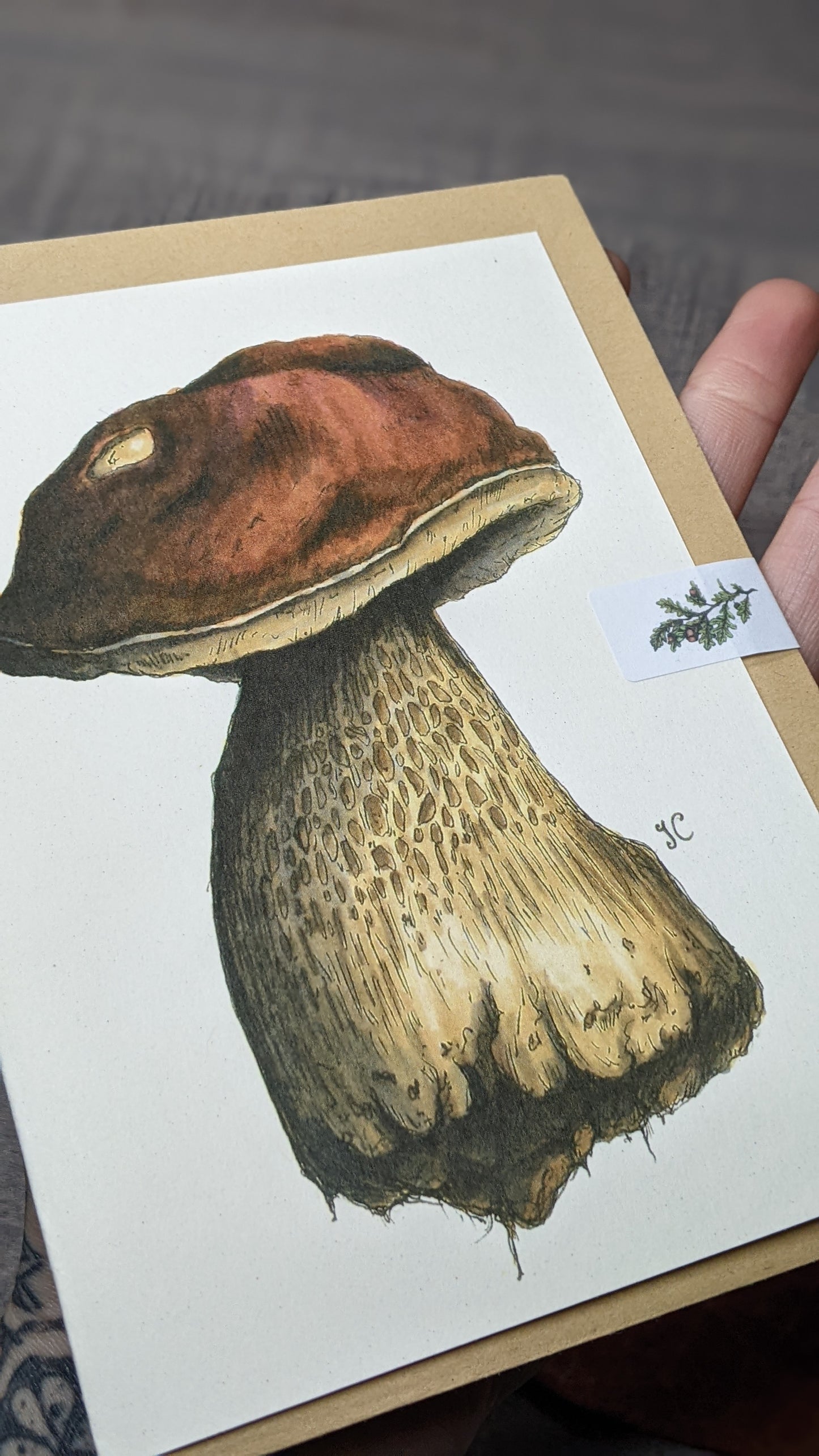 Penny Bun Greeting Card