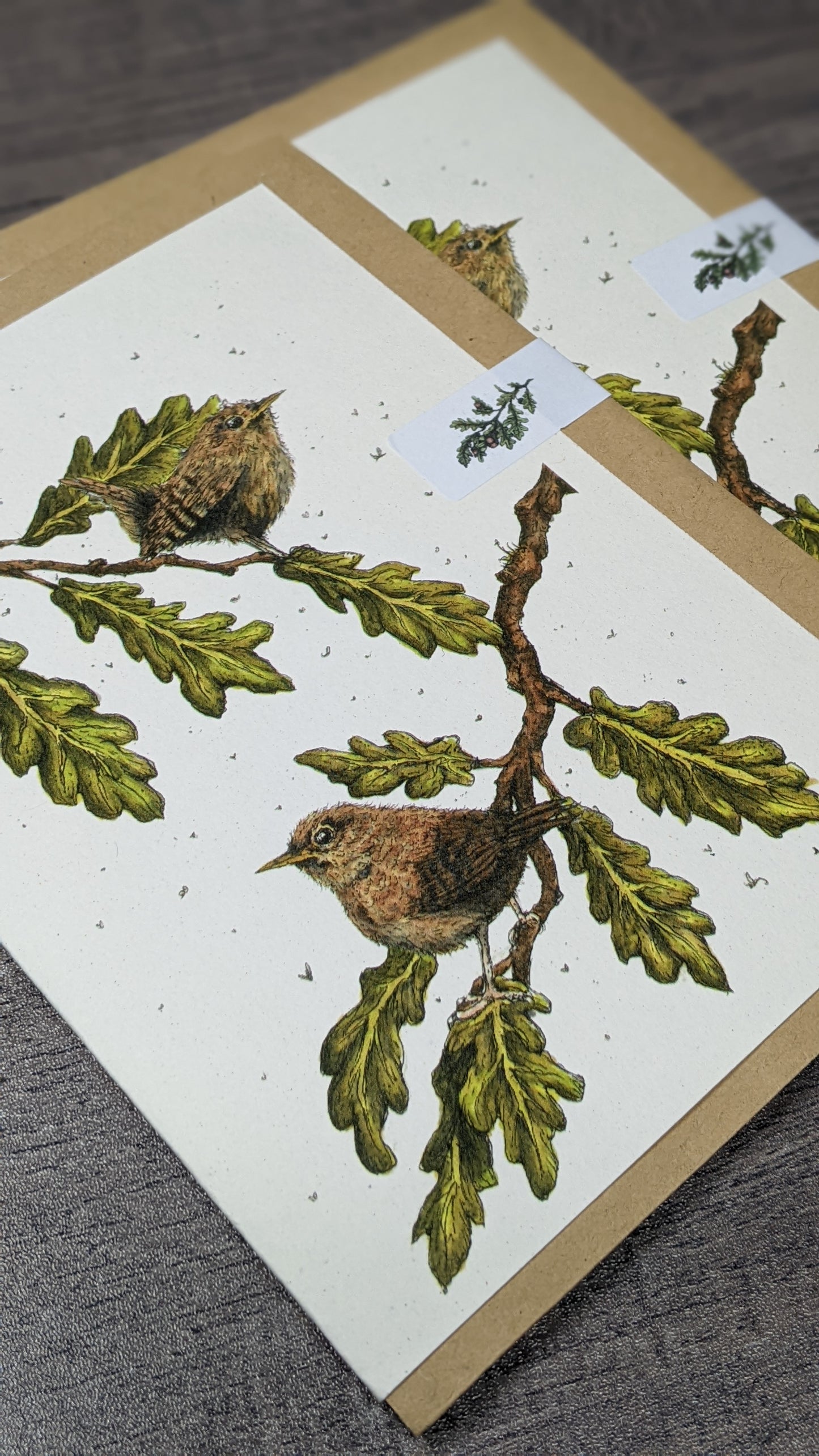 Jenny Wrens Greeting Card