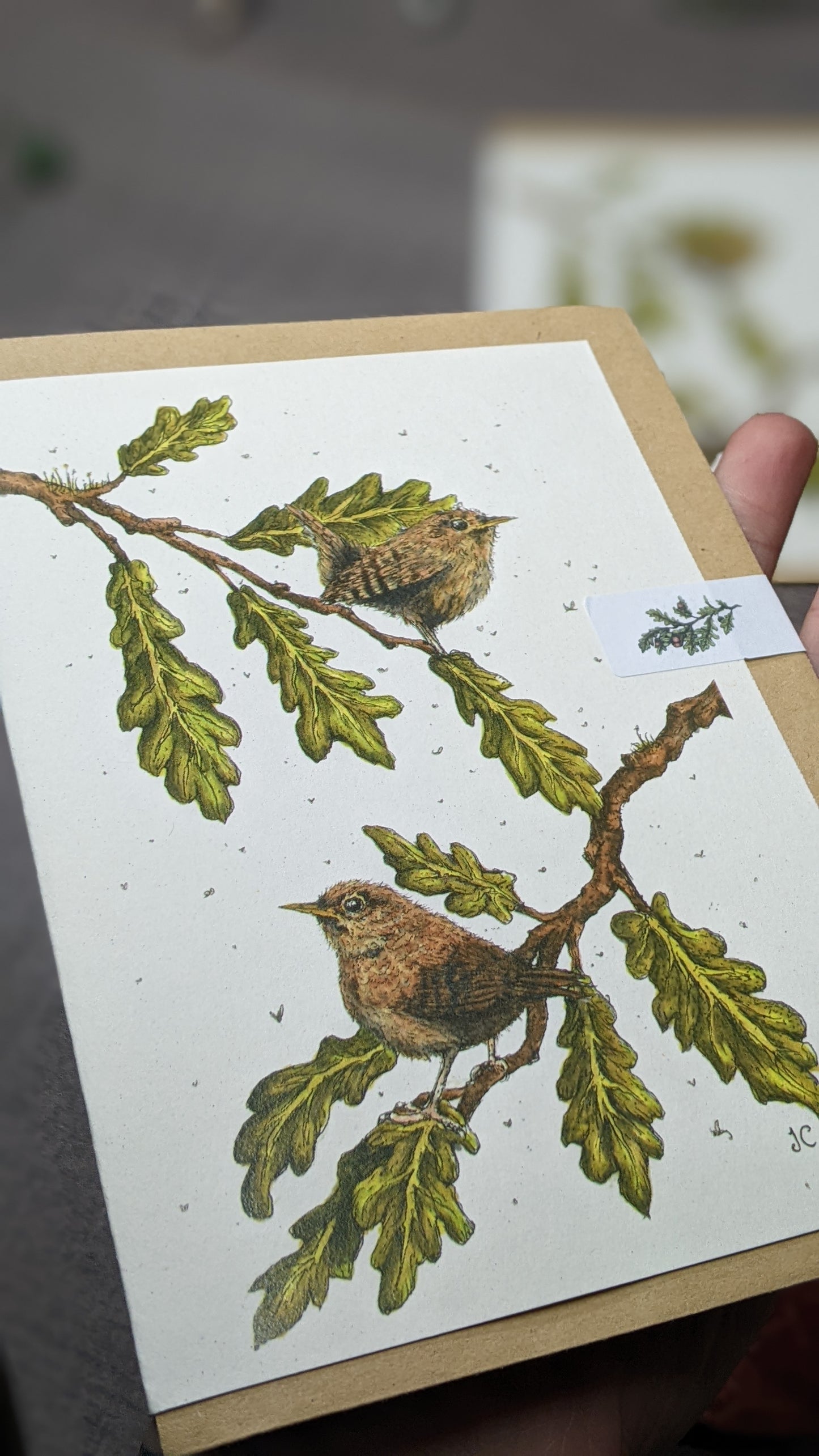 Jenny Wrens Greeting Card