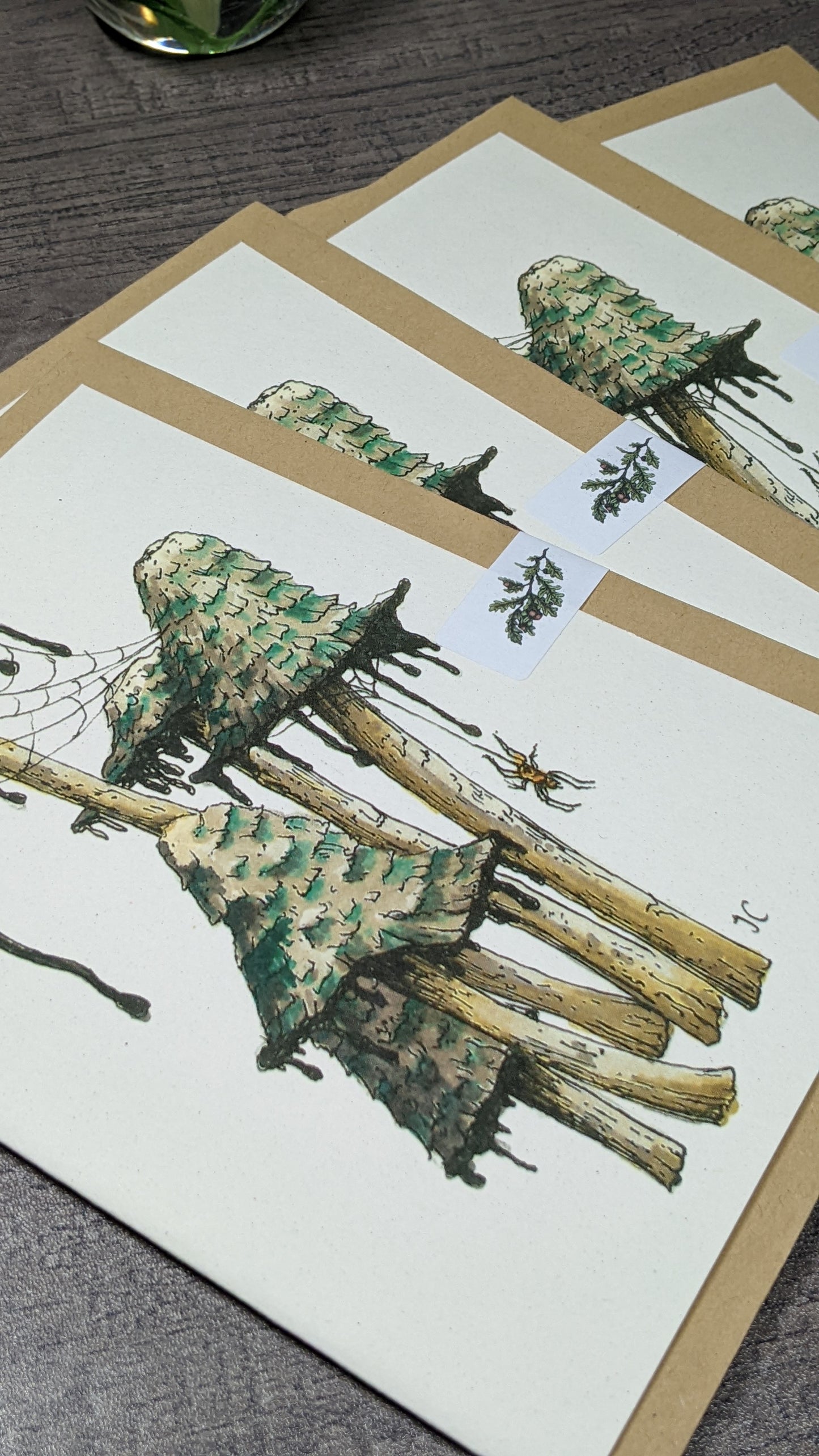 Shaggy Ink Caps Greeting Card