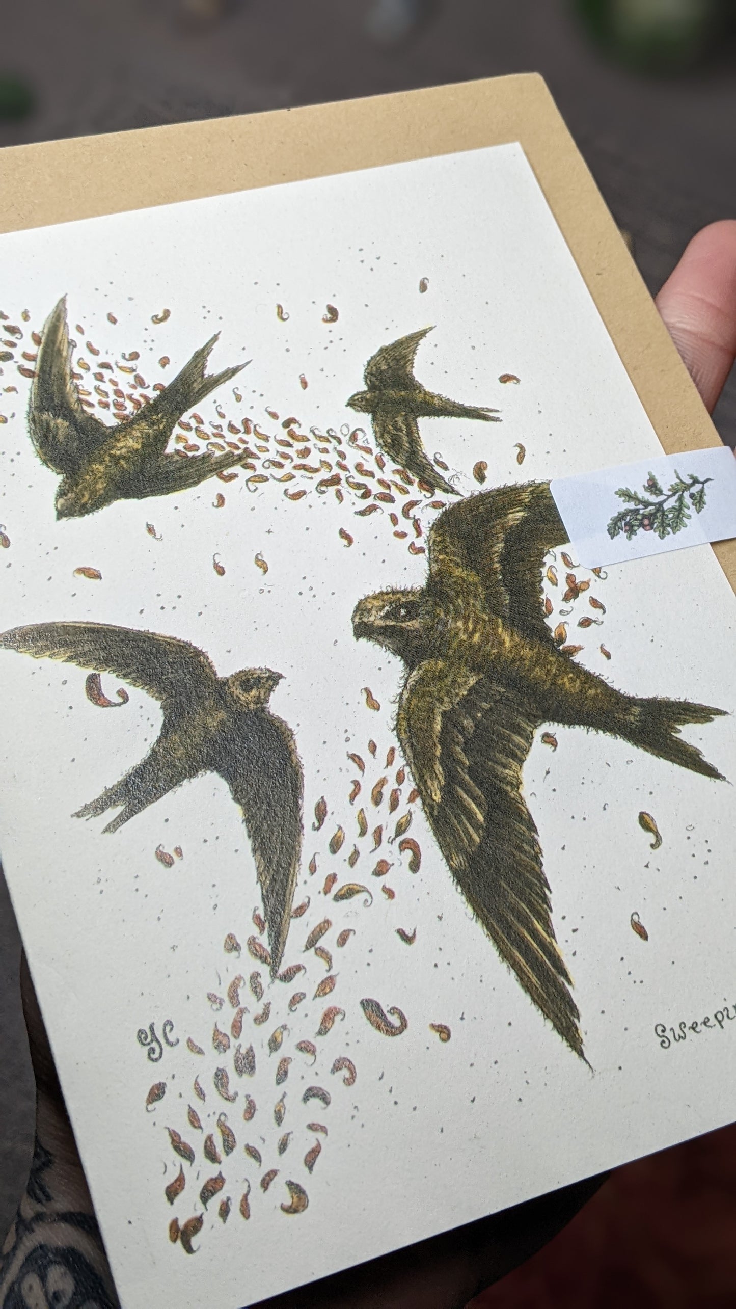 Sweeping Swifts Greeting Card
