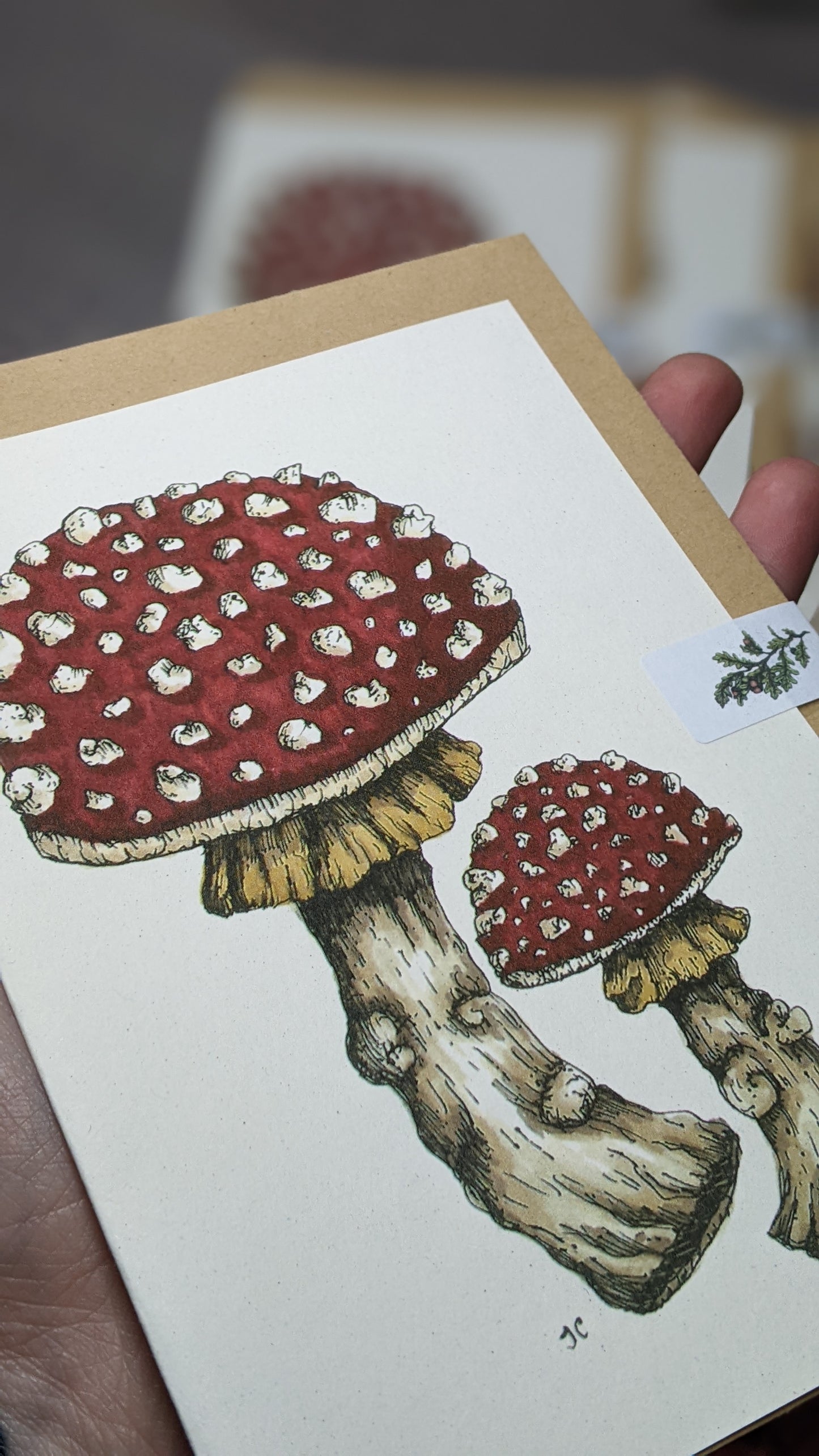 Fly Agaric Greeting Card