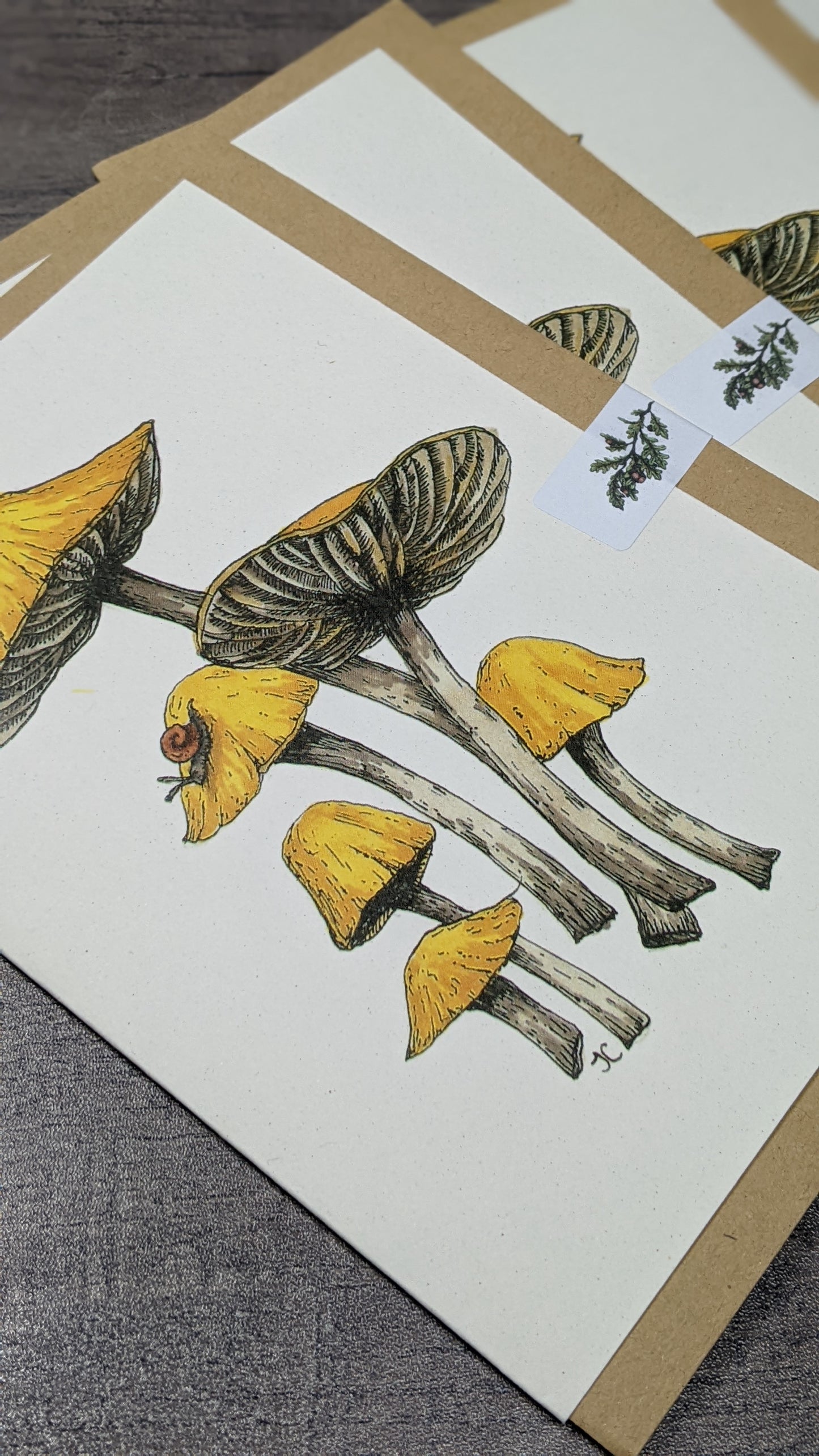 Fairy Ring Greetings Card