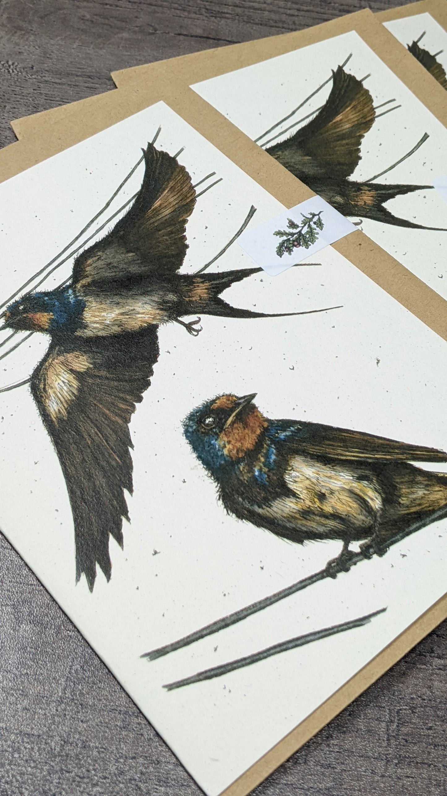 Swooping Swallows Greeting Card