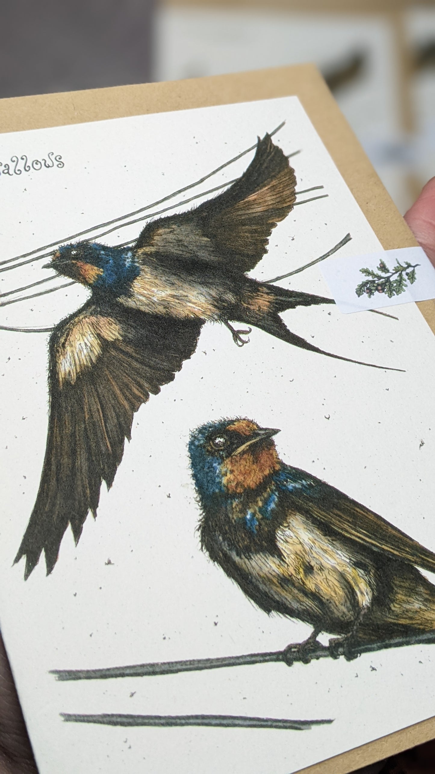 Swooping Swallows Greeting Card