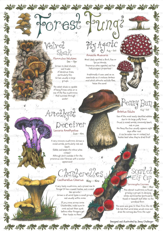 Forest Fungi Poster