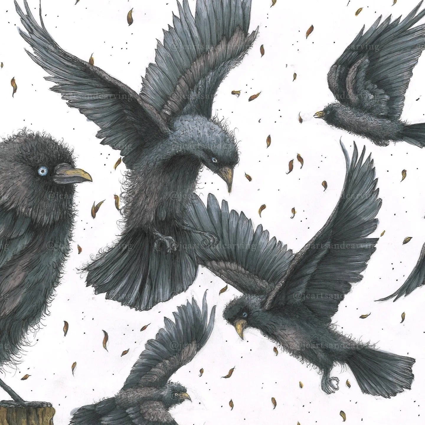 Jaunty Jackdaws A3 Mounted Print