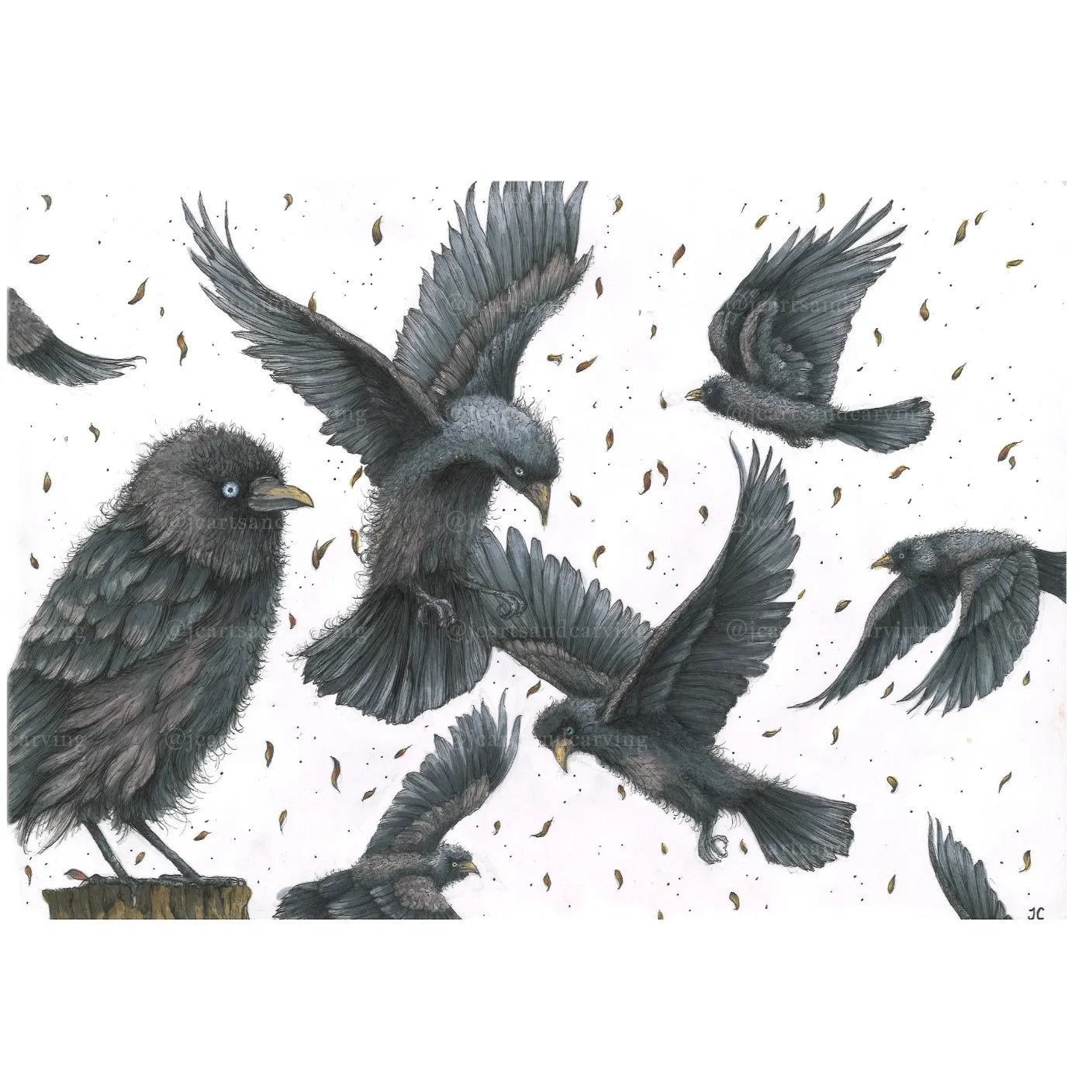 Jaunty Jackdaws A3 Mounted Print