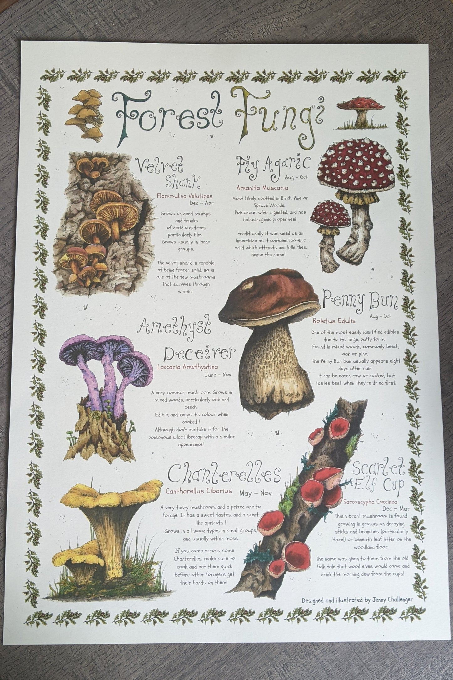 Forest Fungi Poster