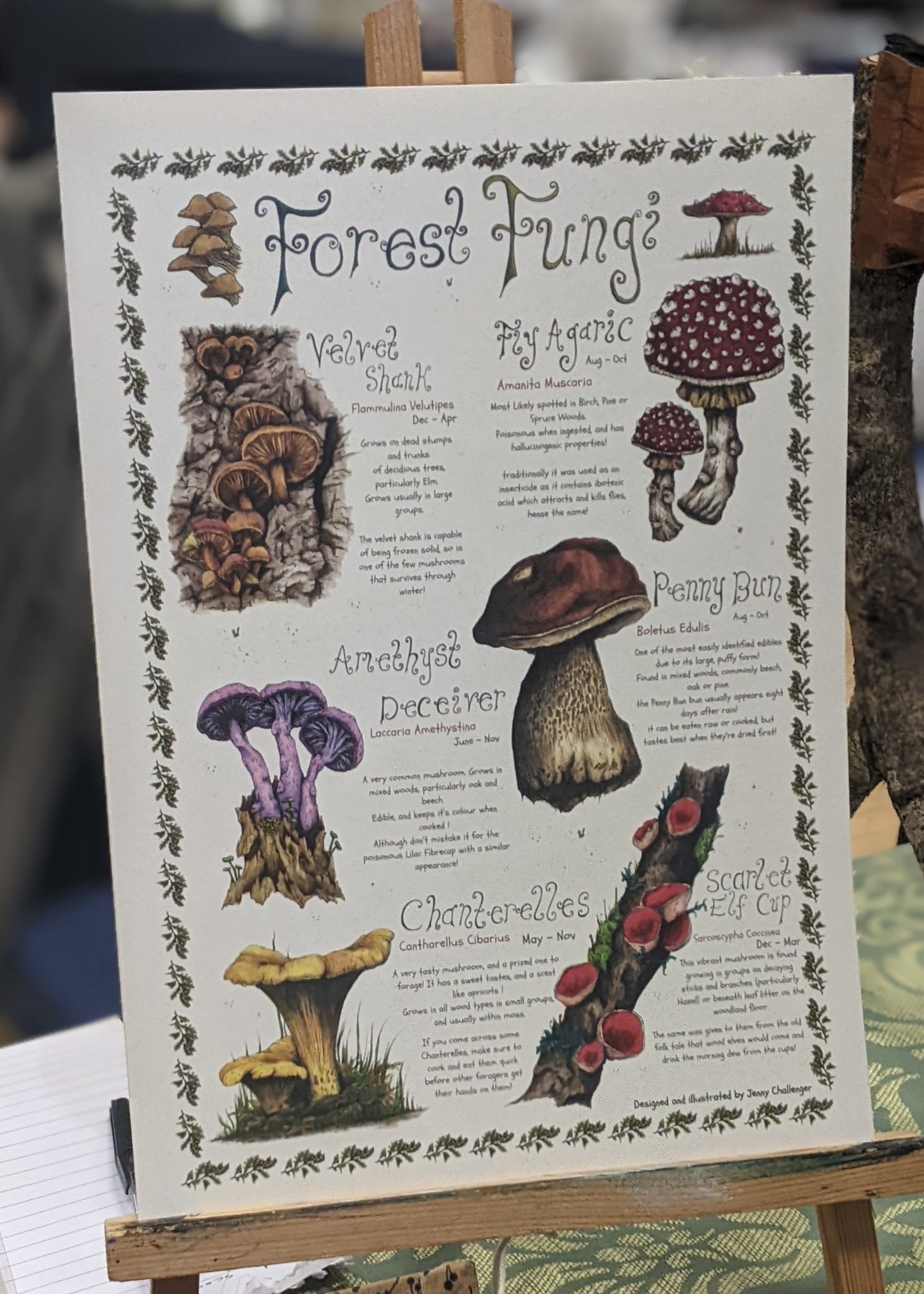 Forest Fungi Poster