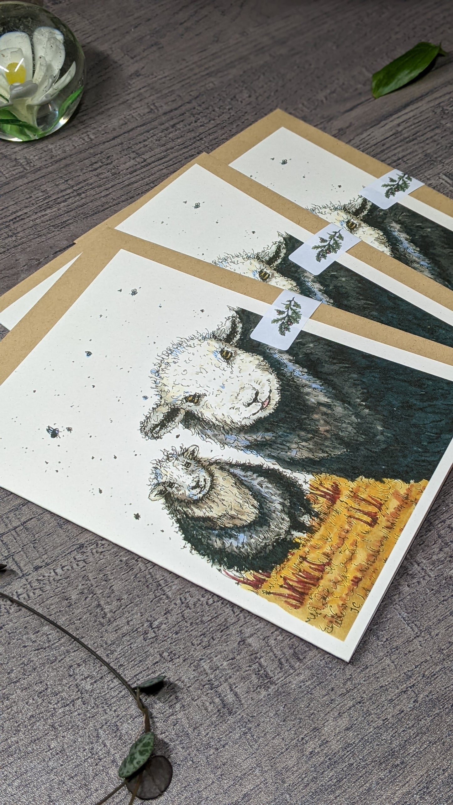 The Cheeky Herdwicks Greeting Card