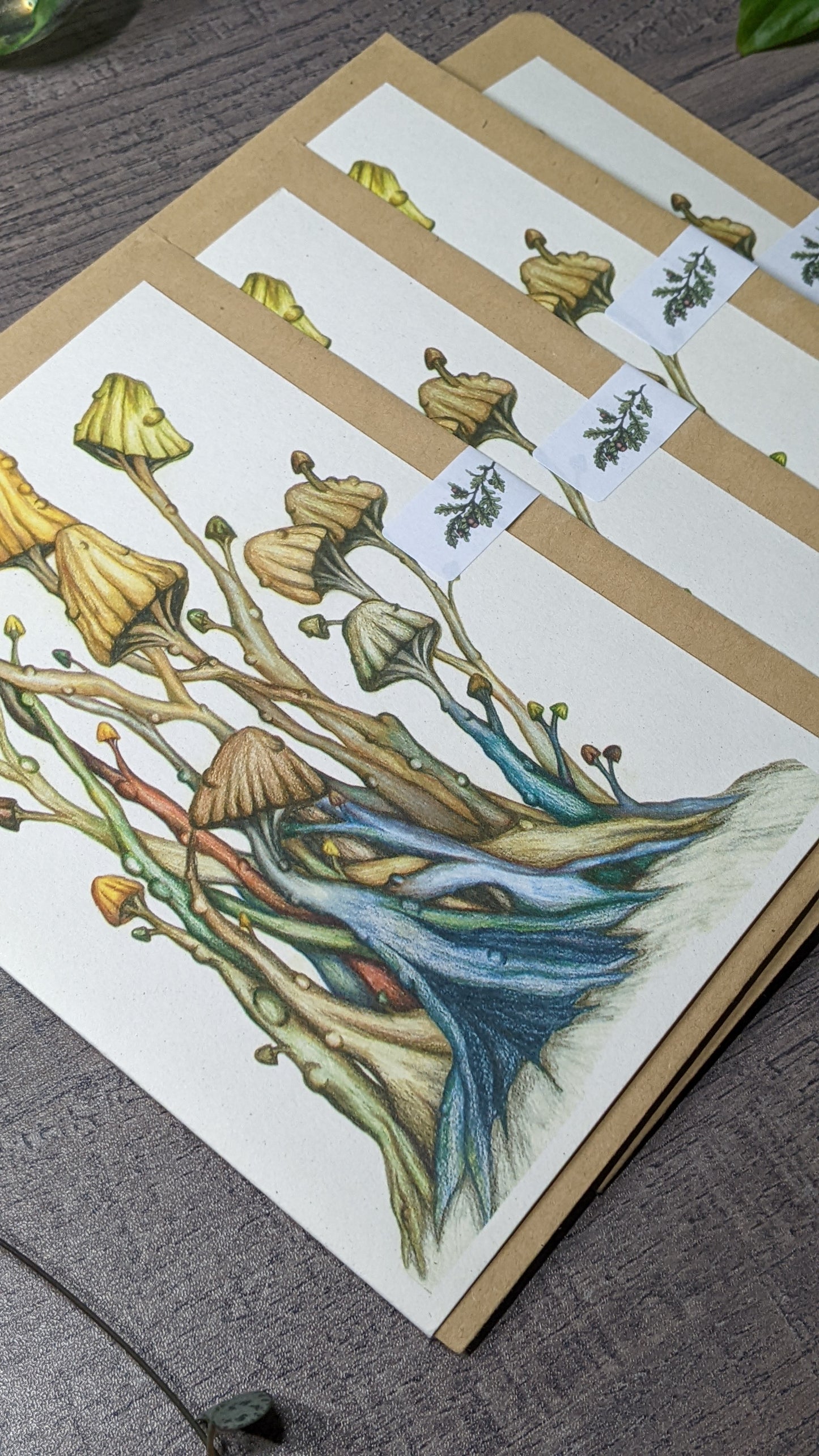 Twisty Toadstools Greeting Card