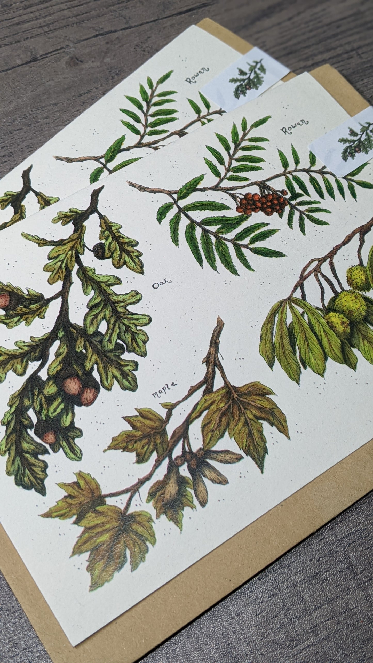 British Tree Branches Greeting Card