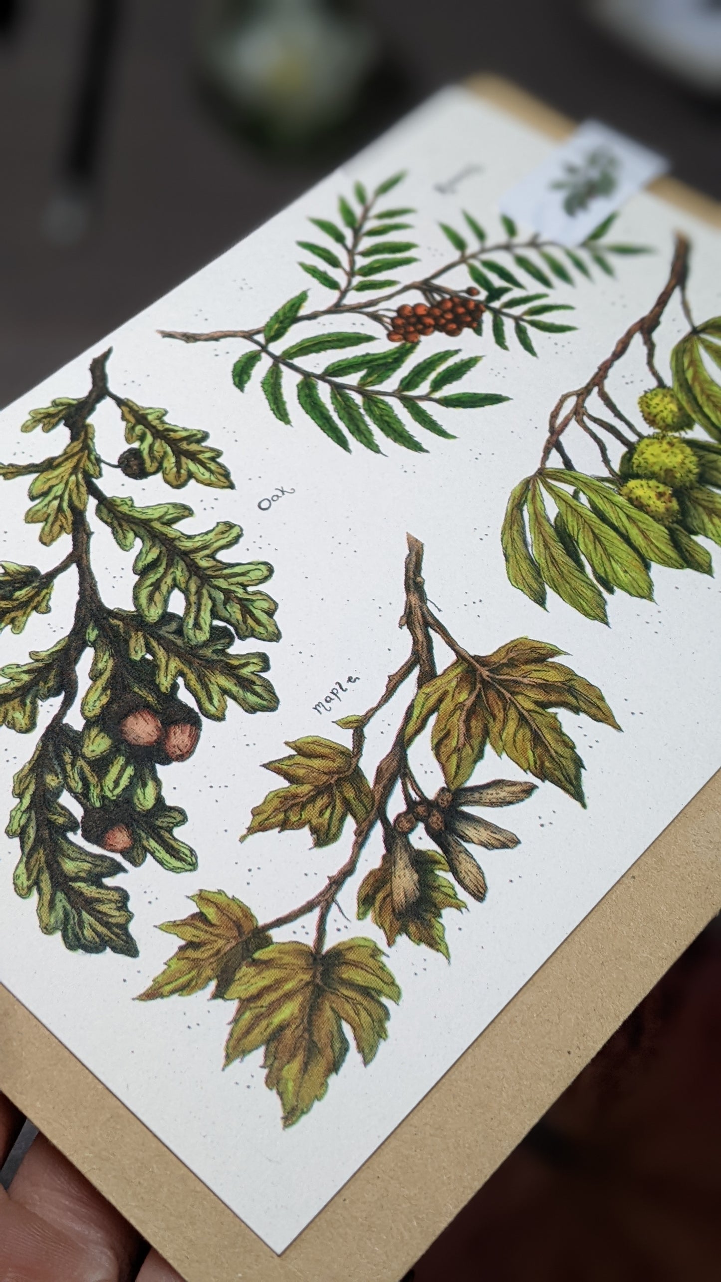 British Tree Branches Greeting Card