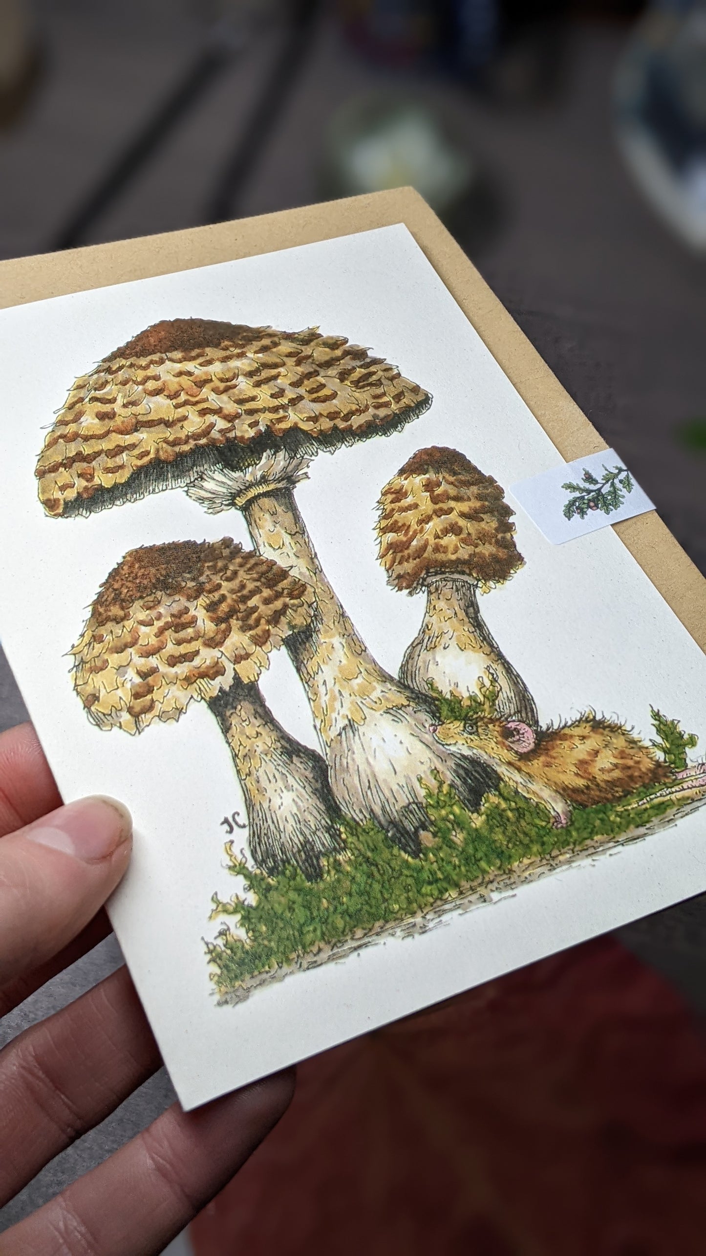 Parasol Mushroom Greeting Card