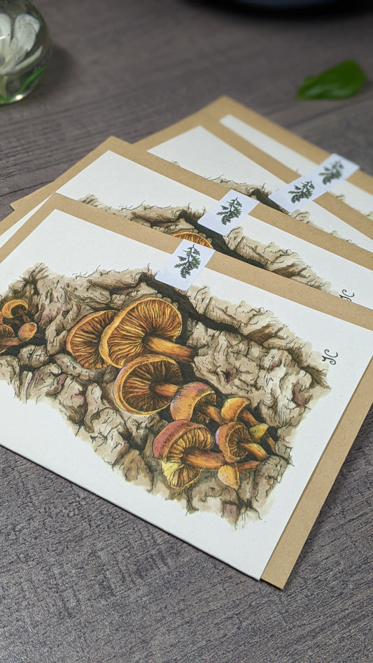 Velvet Shanks Greeting Card
