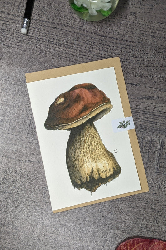 Penny Bun Greeting Card