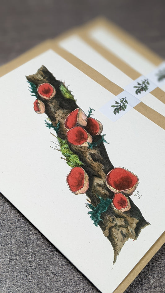 Scarlet Elf Cups Greeting Card