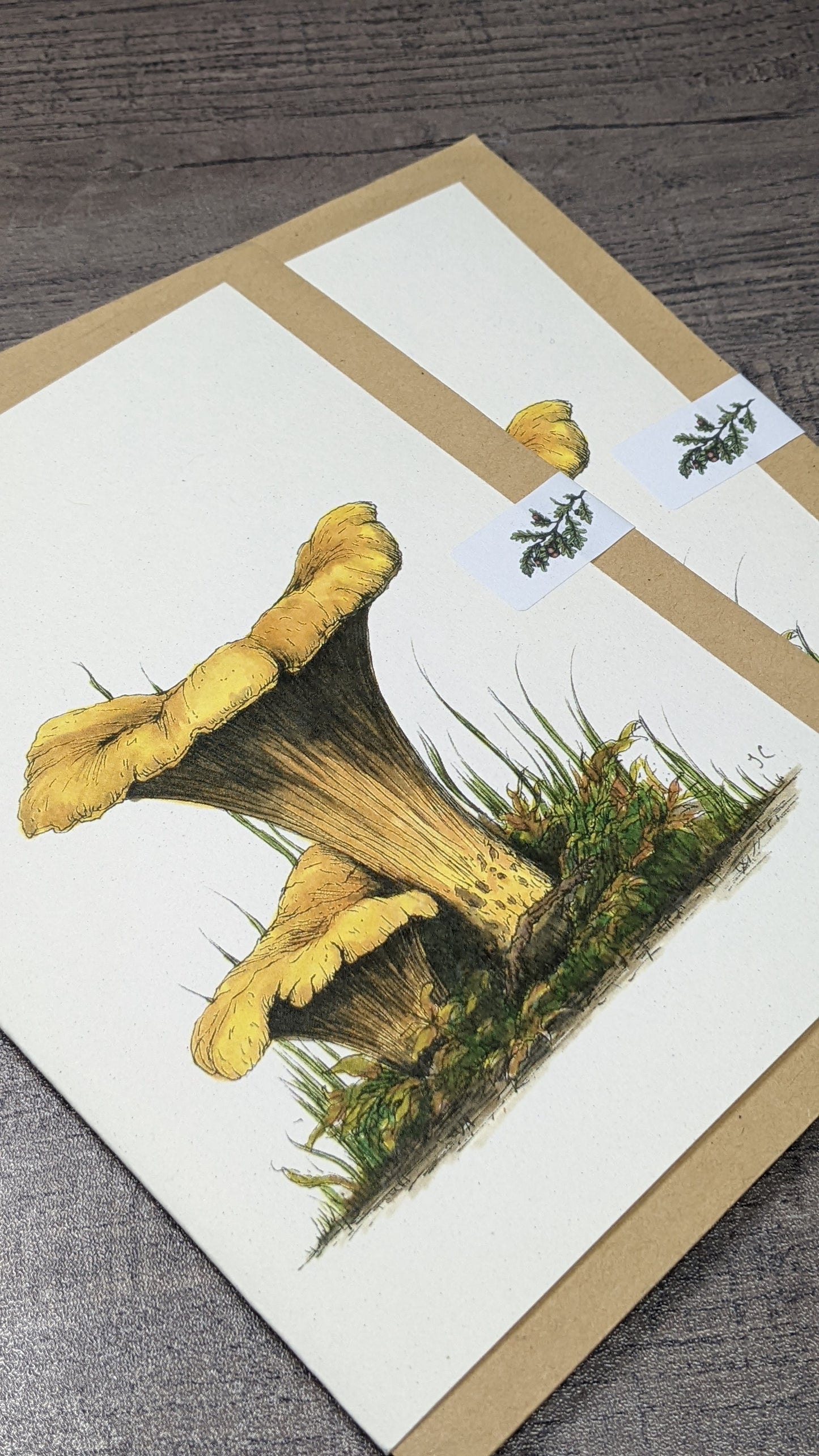 Chanterelle Greeting Card