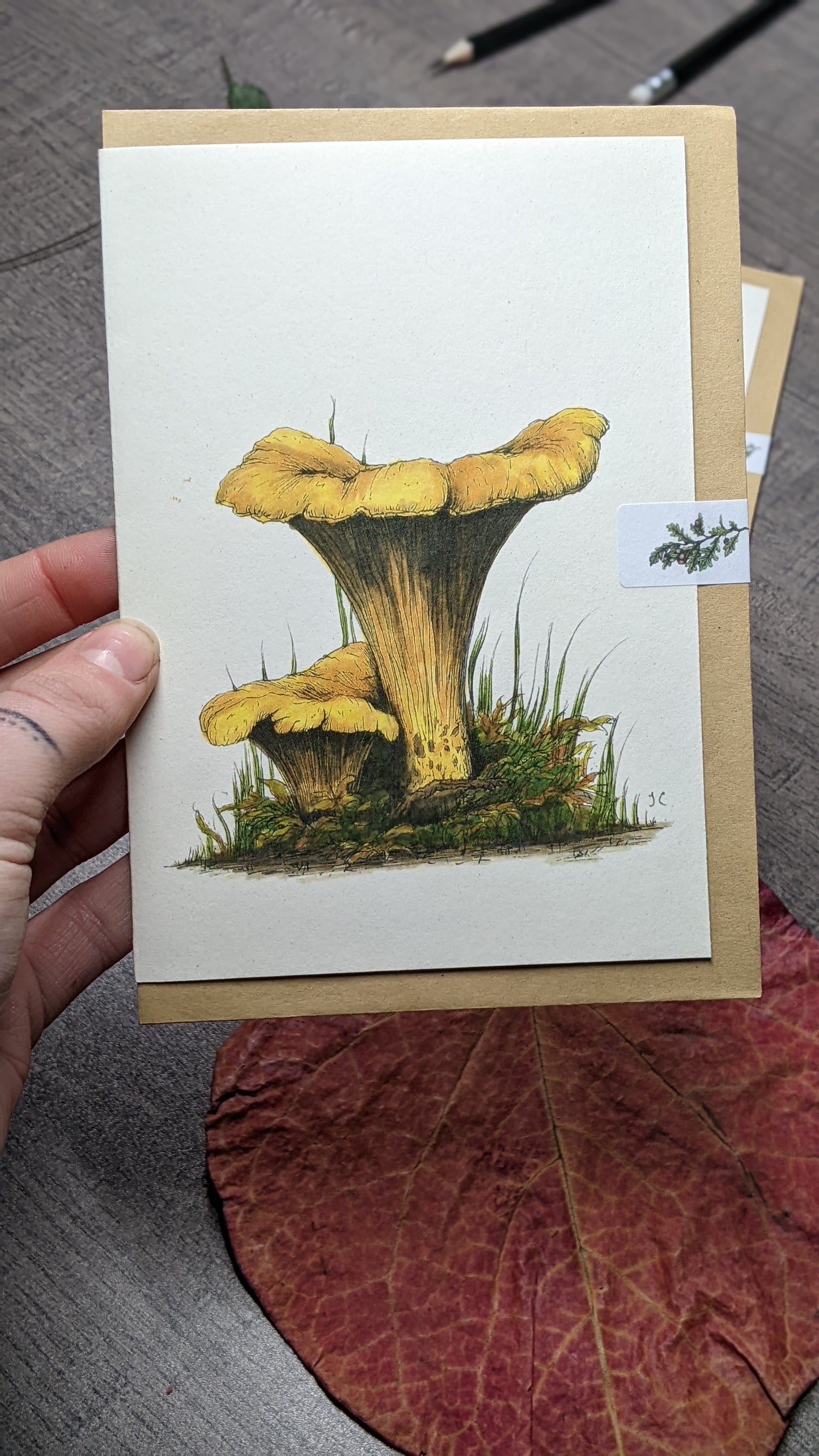 Chanterelle Greeting Card