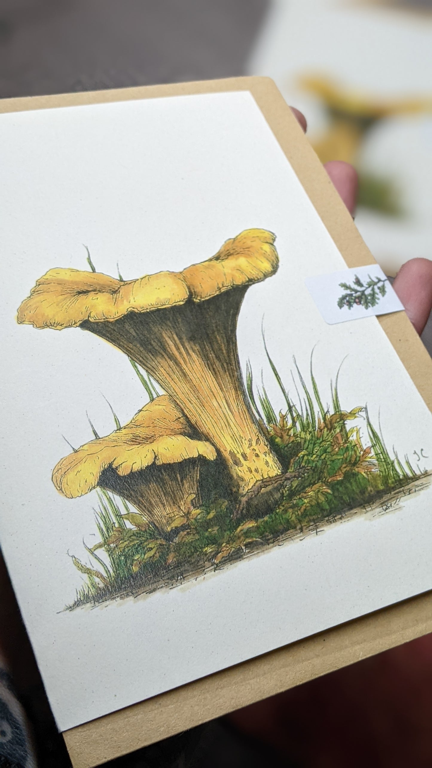 Chanterelle Greeting Card