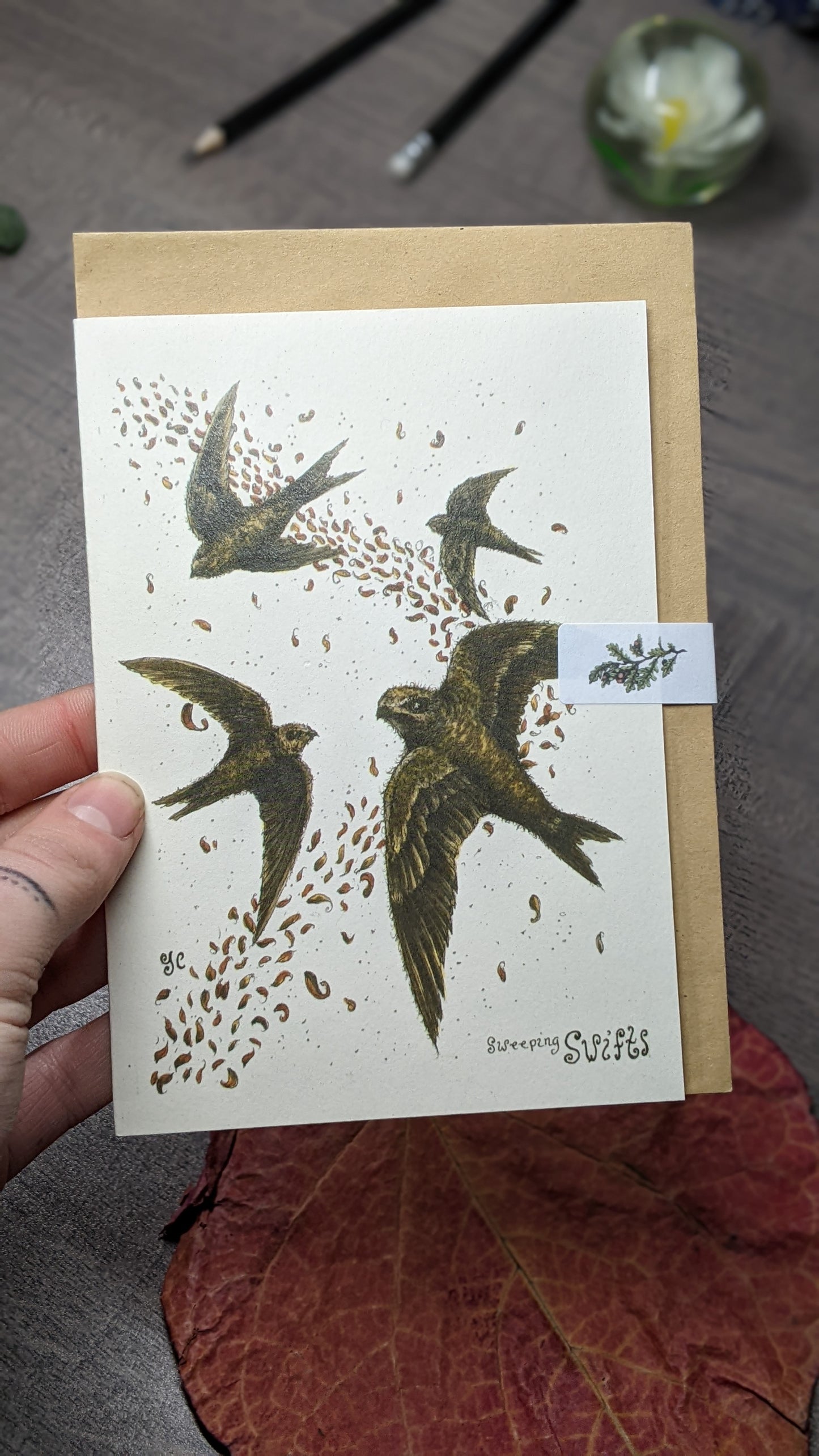 Sweeping Swifts Greeting Card