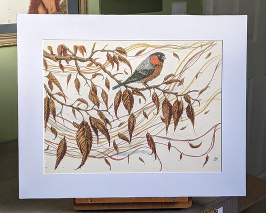 A Bullfinch In Autumn A3 Mounted Print