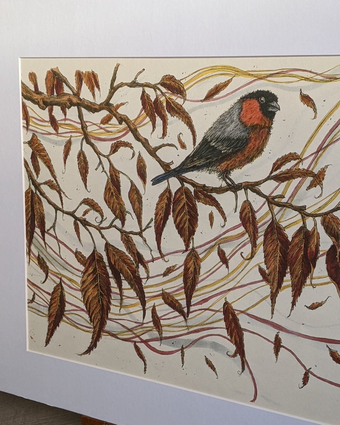 A Bullfinch In Autumn A3 Mounted Print