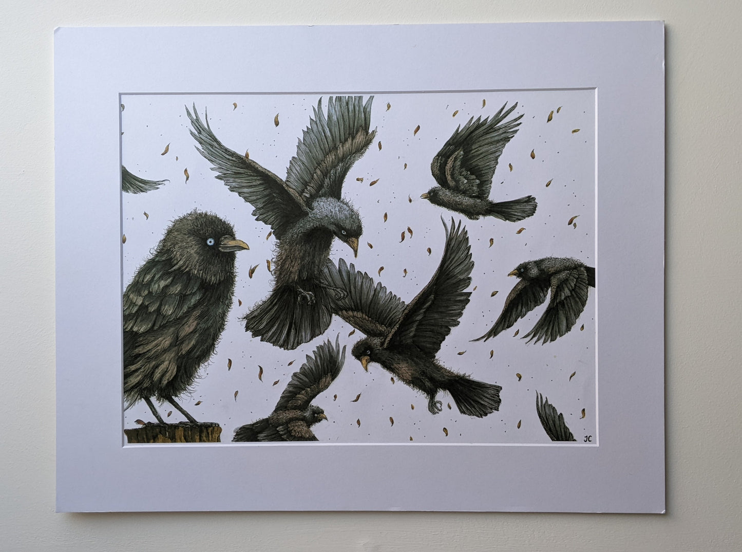 Jaunty Jackdaws A3 Mounted Print