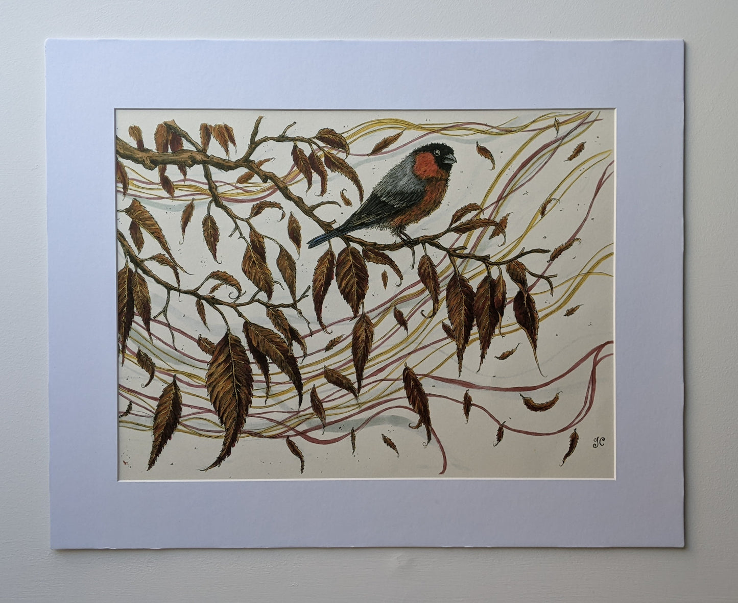 A Bullfinch In Autumn A3 Mounted Print