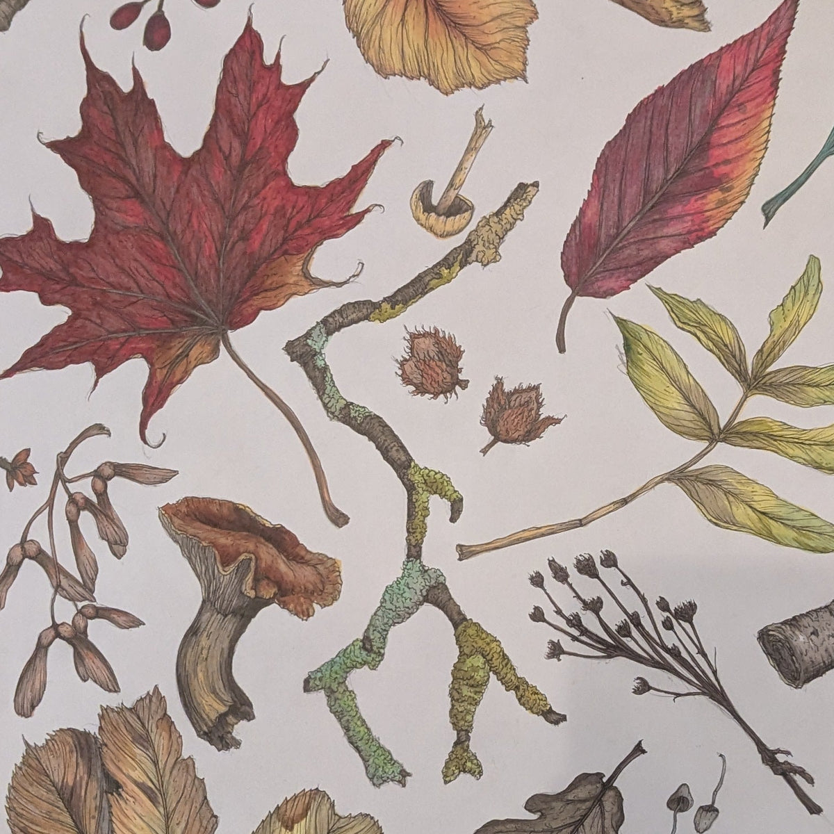 Colours Of Autumn Print