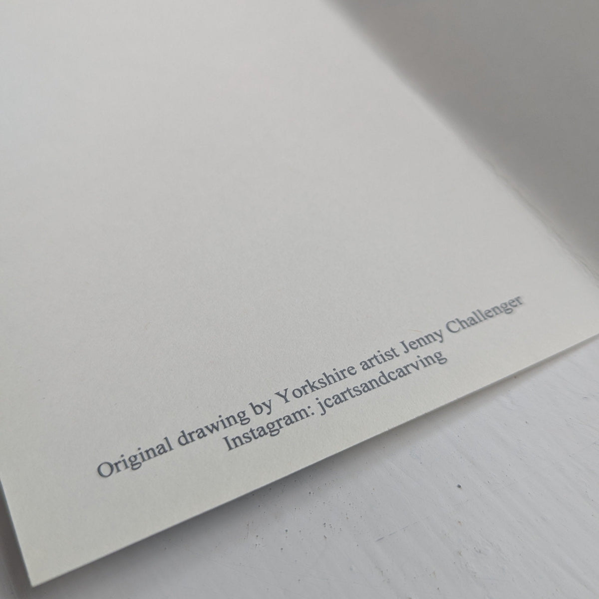 Raven's View Greeting Card (Double sided)