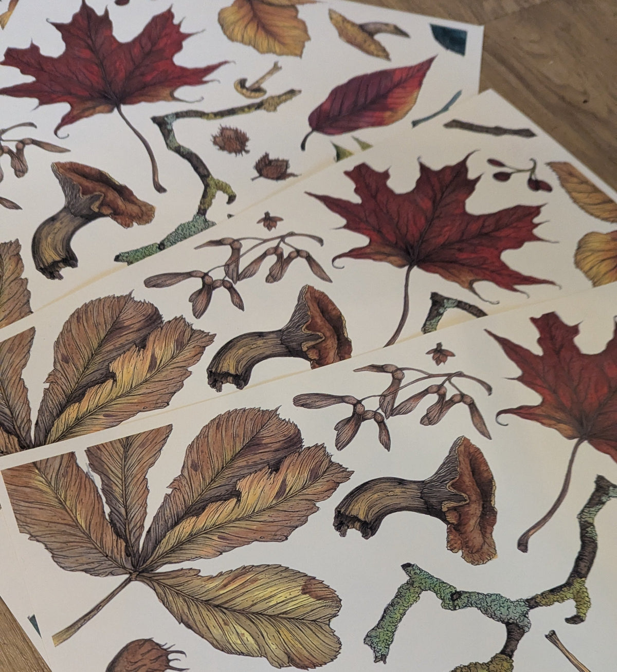 Colours Of Autumn Print