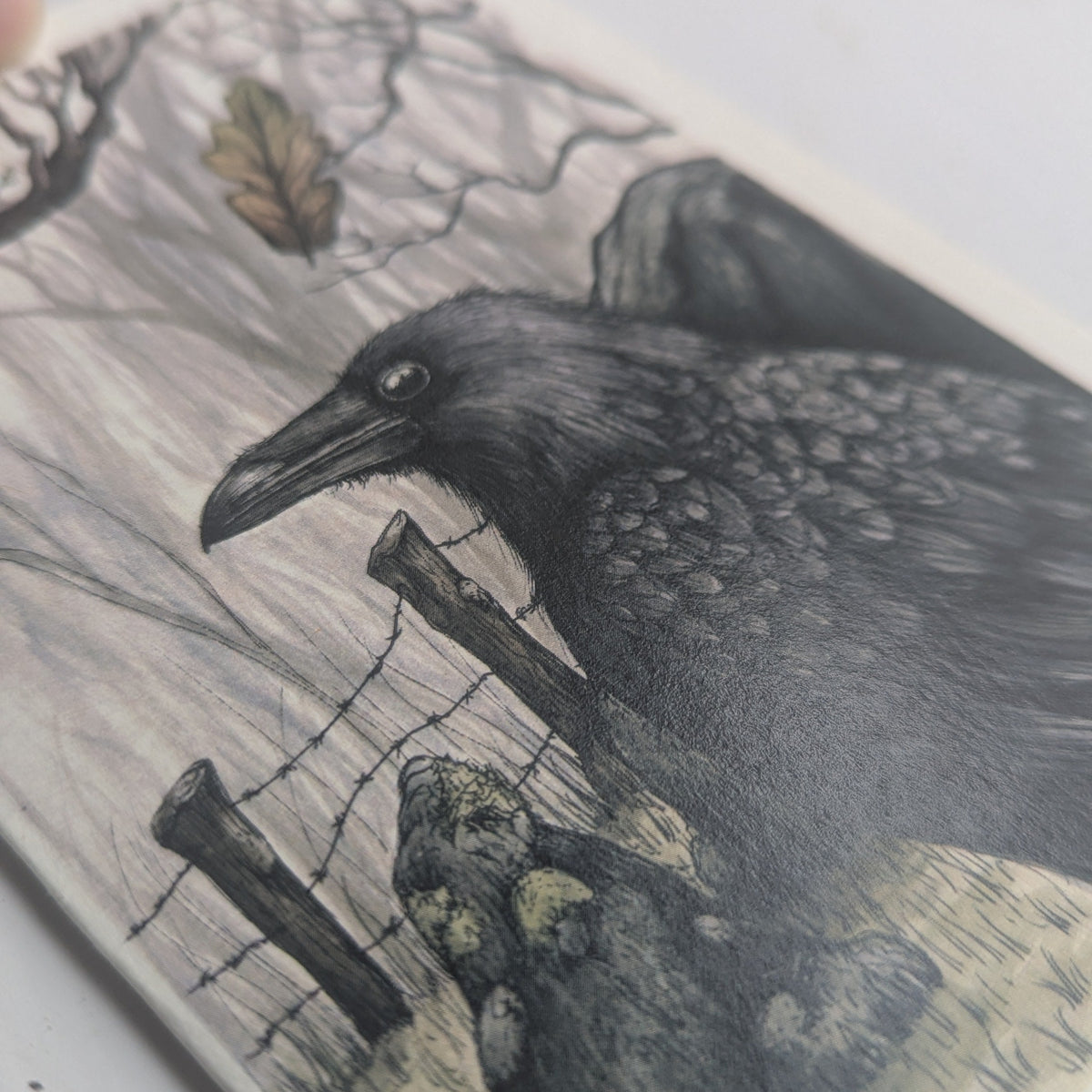 Raven's View Greeting Card (Double sided)