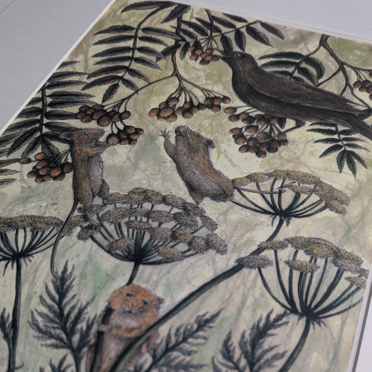 The Battle Of The Berries Mounted Print