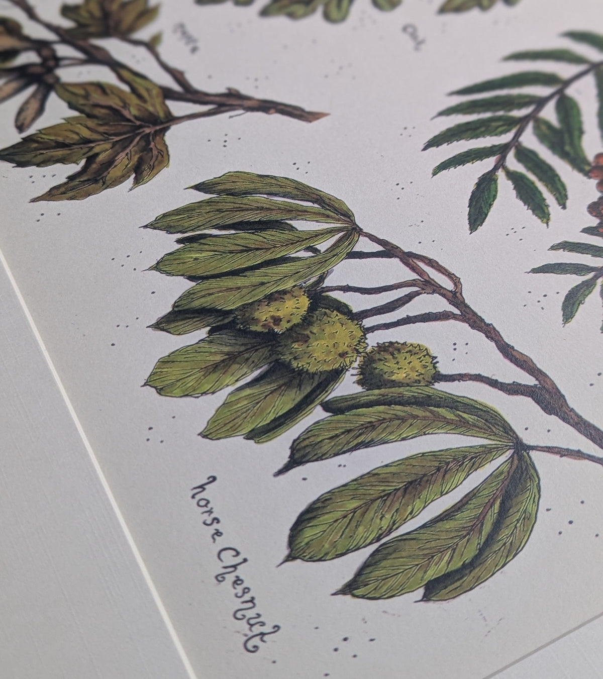 Tree Branches Mounted Print