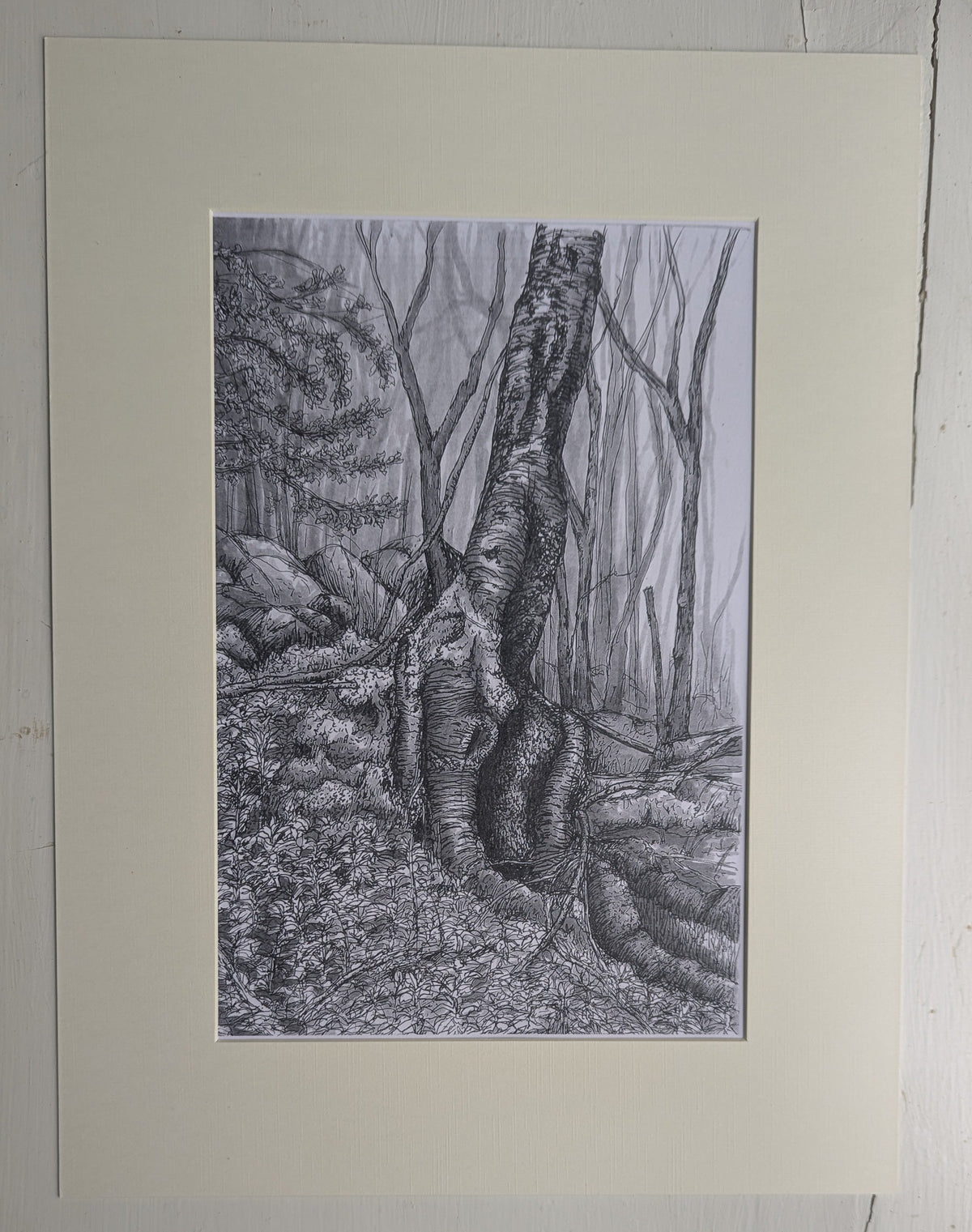 Melting Silver Birch A4 Mounted Print
