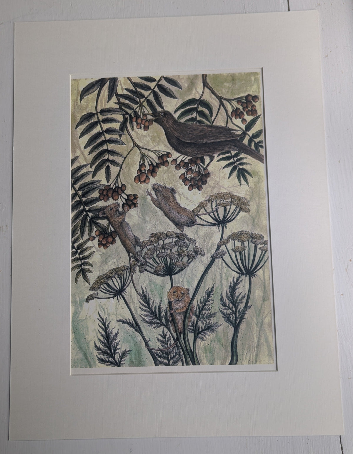 The Battle Of The Berries Mounted Print