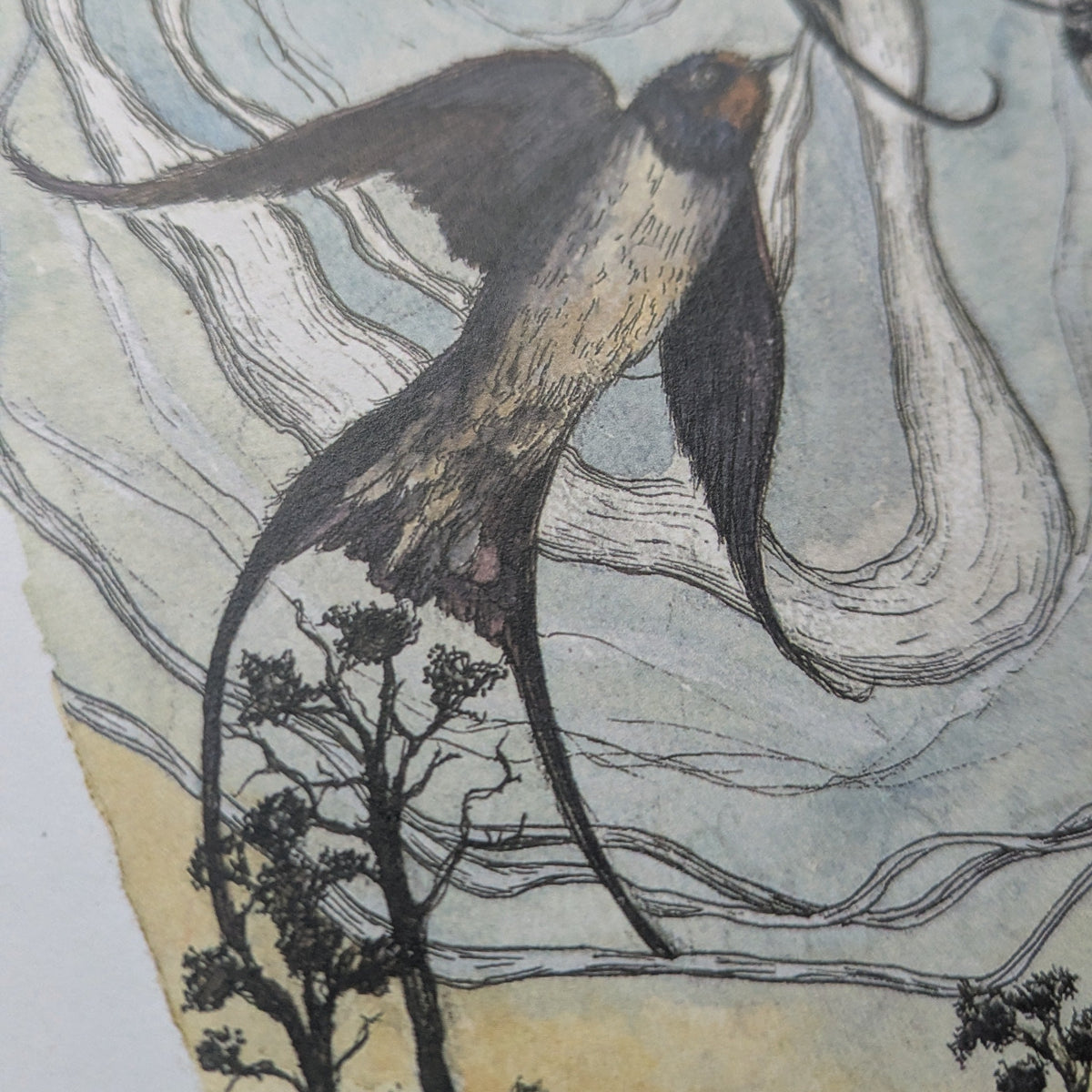 Swooping Swallows Poem Poster