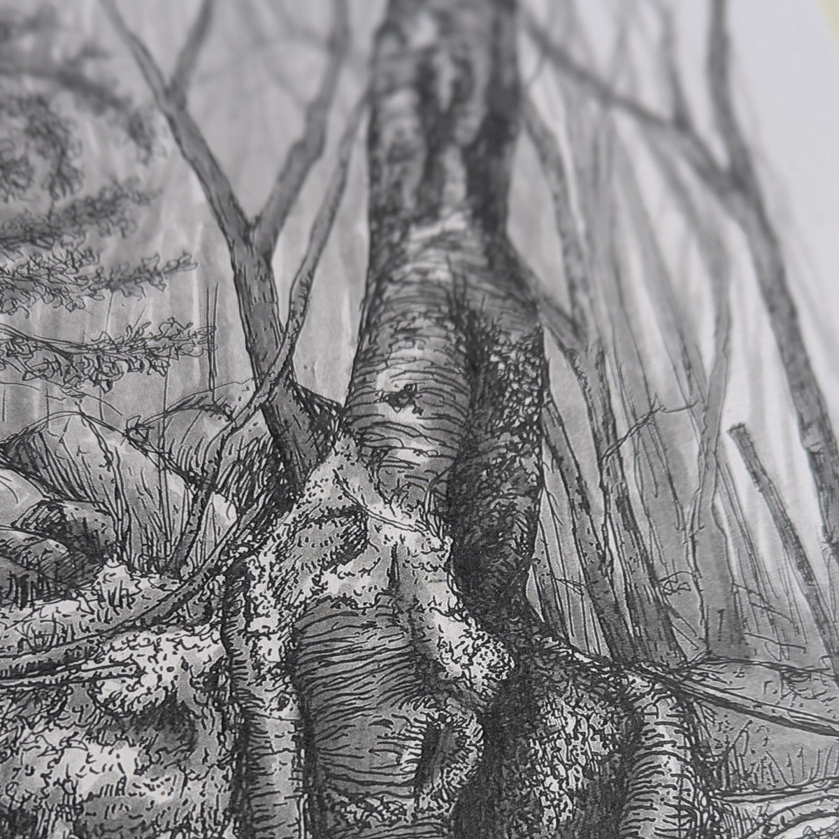 Melting Silver Birch A4 Mounted Print