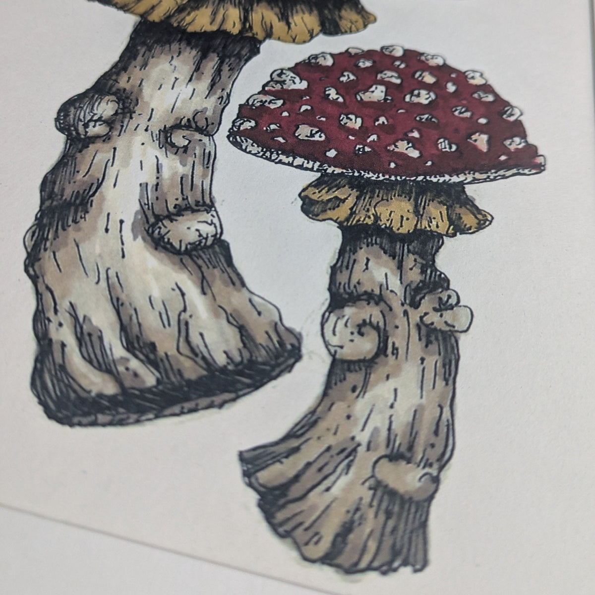 Fly Agaric Mounted Print