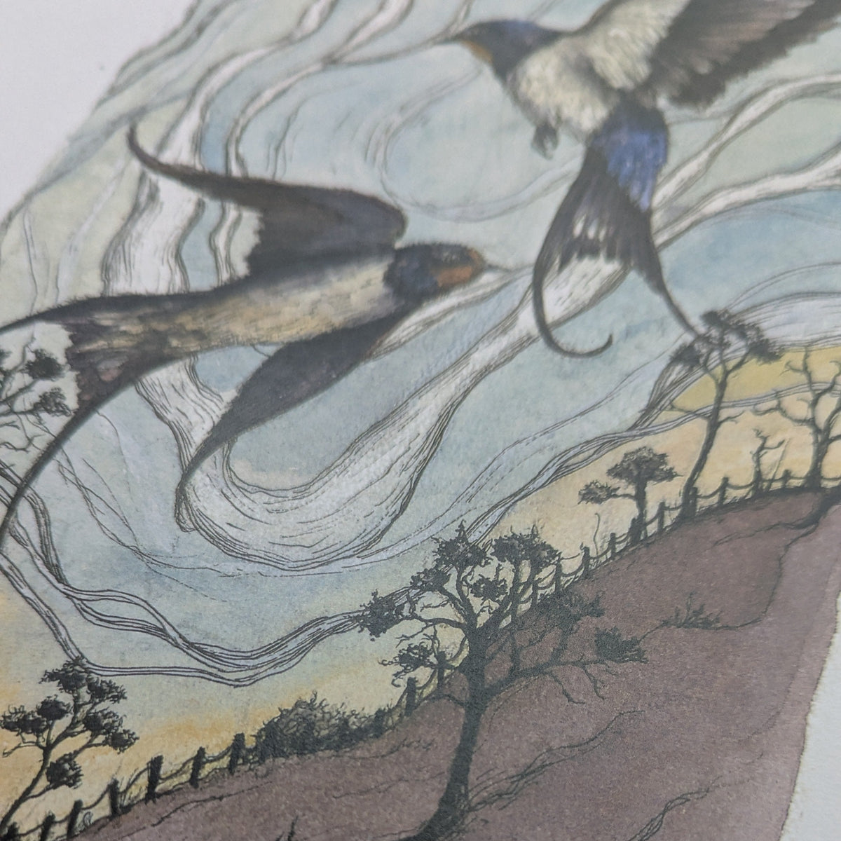 Swooping Swallows Poem Poster