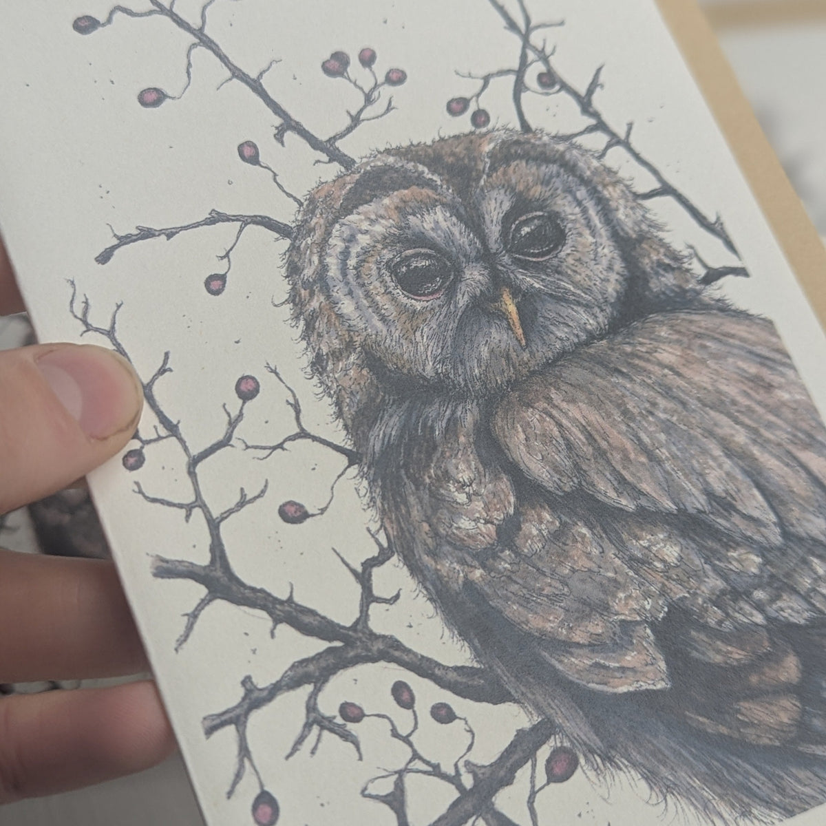 Timmy Tawny Owl Greeting Card
