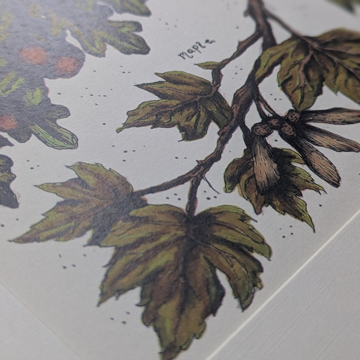 Tree Branches Mounted Print
