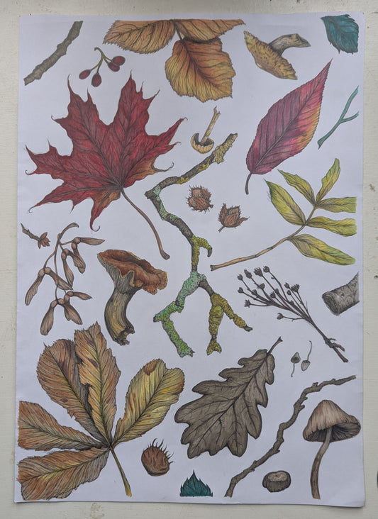 Colours Of Autumn Print