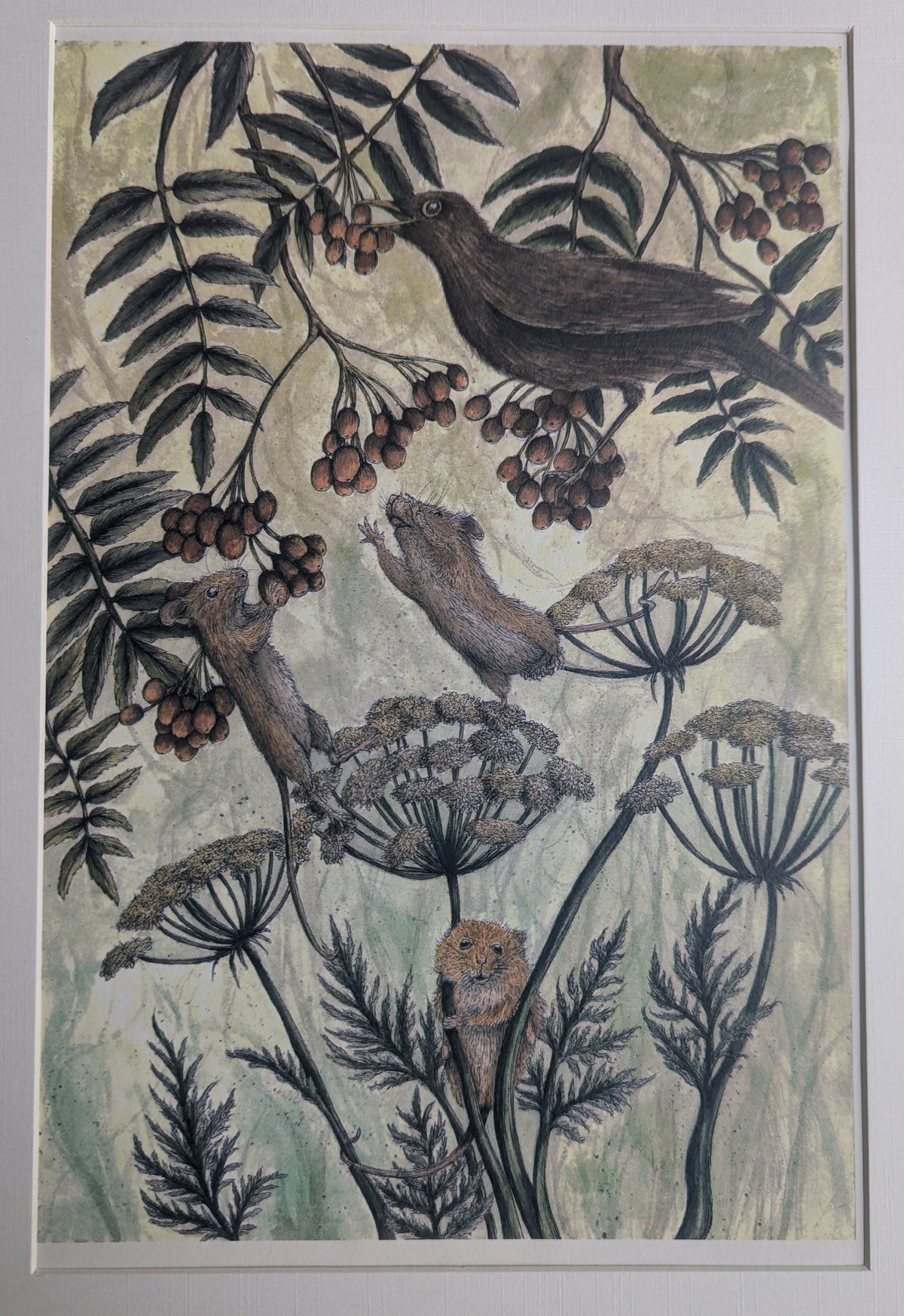 The Battle Of The Berries Mounted Print