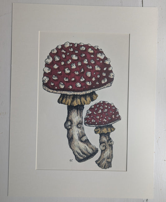 Fly Agaric Mounted Print