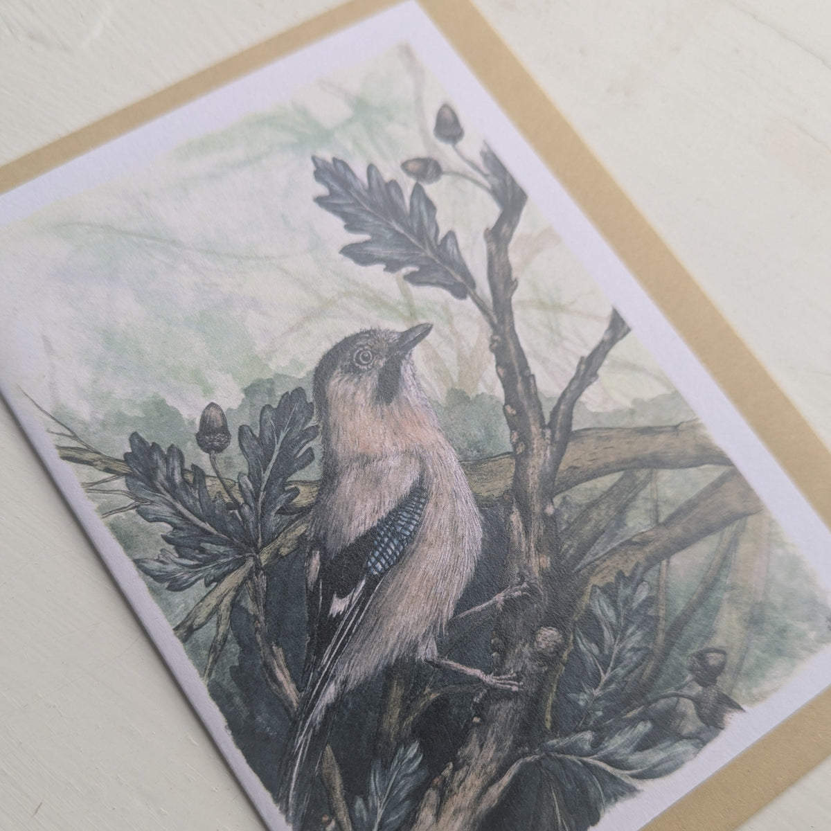 Joyous Jay Greeting Card